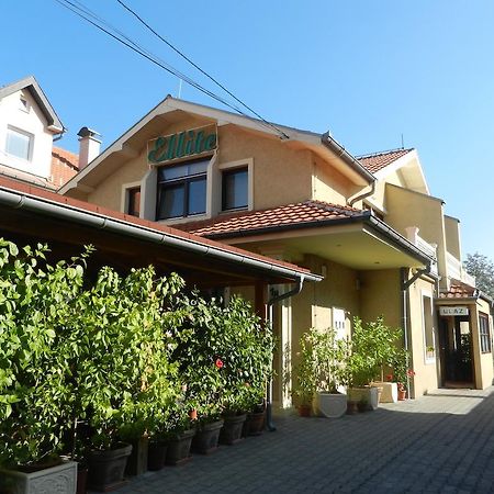 Guesthouse Ellite Požarevac 외부 사진